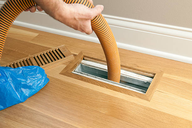 Best Residential Air Duct Cleaning  in Nogales, AZ