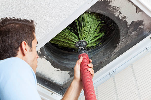 Best Air Duct Cleaning Near Me  in Nogales, AZ
