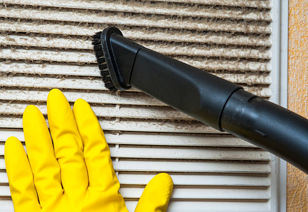 Best Air Duct Inspection  in Nogales, AZ